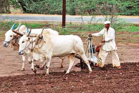 स्थायी बंदोबस्त की विशेषताएँ