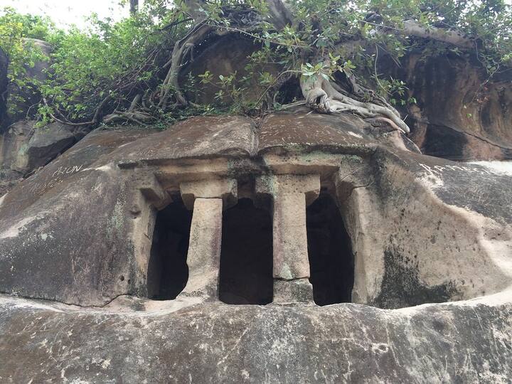 आल्टामीरा गुफा के चित्र